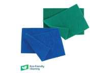 Scourer Pad (10)*