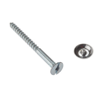 Mirror Screw 8 x 1\" Chrome Plated (10)*