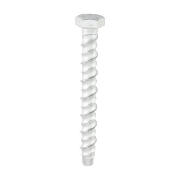 Multi Fix Bolt Hex Head 10.0 x 100mm