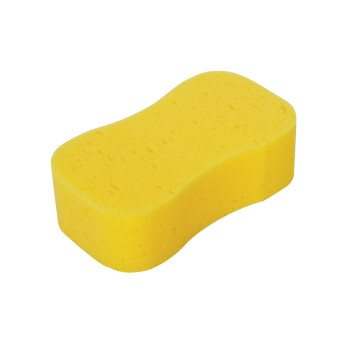 Jumbo Sponge*