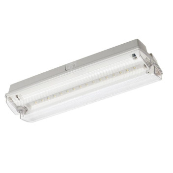 Emergency Bulk Head IP66 3w