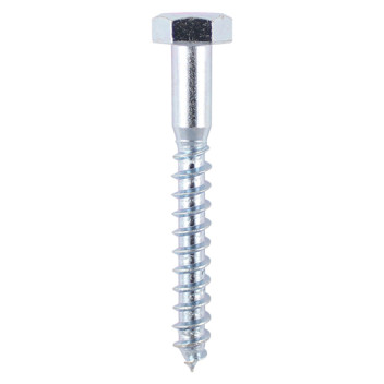 Coach Screw Zinc Plated 8 x 50mm