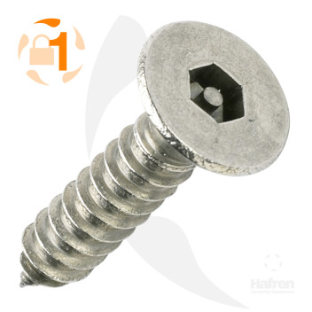 Woodscrew Security Head H40 CSK A2 10 x 1 1/4\"*