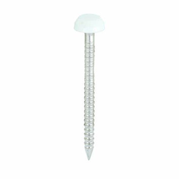 Pin Polymer Small Head White 30mm (250)*