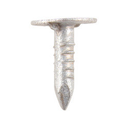 CLOUT NAILS - XL HEAD 2.5KG